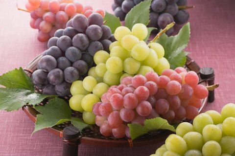 Những lợi ích từ quả Nho mà bạn chưa biết