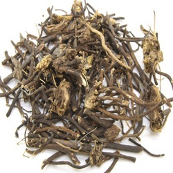 UY LINH TIÊN